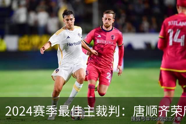 2024赛季最佳主裁判：唐顺齐荣膺金哨 马宁铜哨